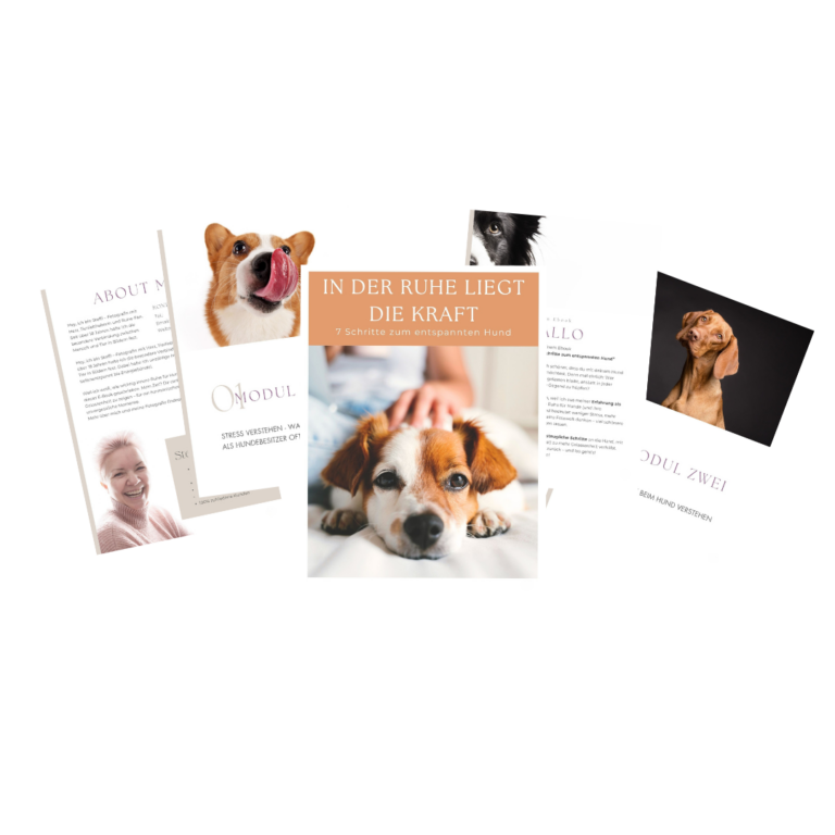 Anti Stress Guide für Hundebesitzer