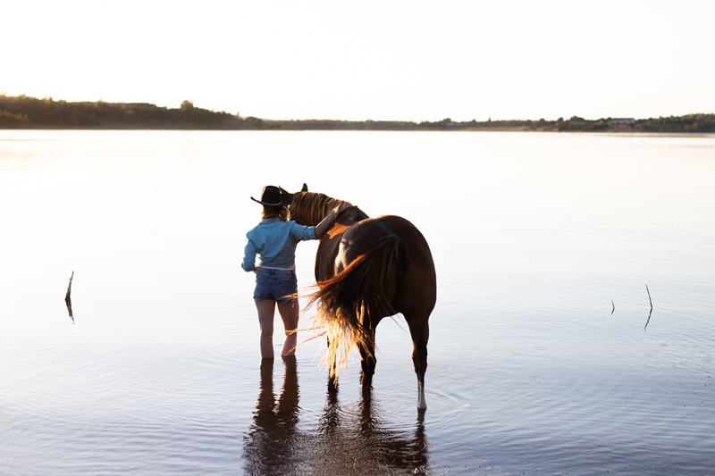 Pferd mit Besitzerin im Wasser