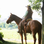 Reiterin mit Pferd die am Waldrand steht