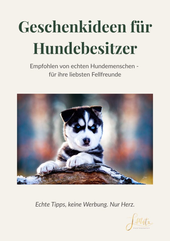 Geschenkideen für Hundebesitzer
