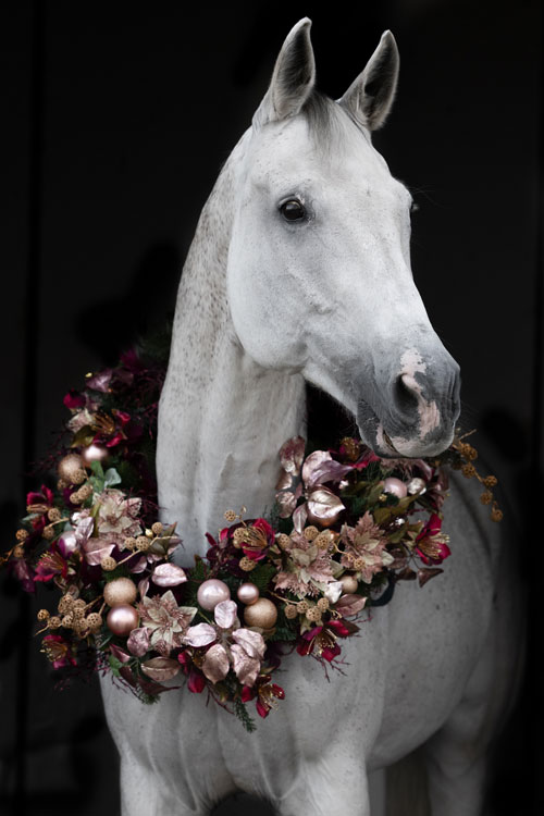 bunter Weihnachtskranz