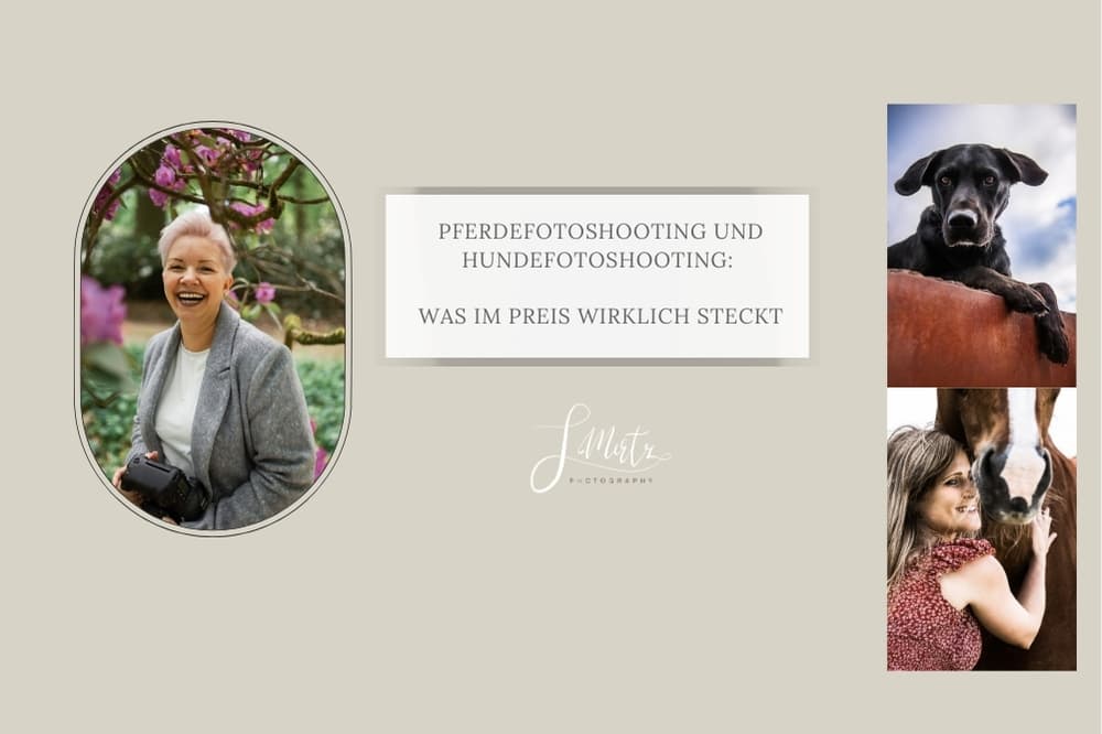 Pferdefotoshooting und Hundefotoshooting: Was im Preis wirklich steckt