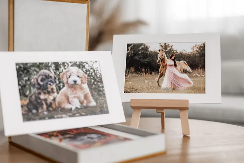 Bilder von Hunden und Pferd